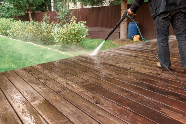 Best Driveway Pressure Washing  in Dimondale, MI