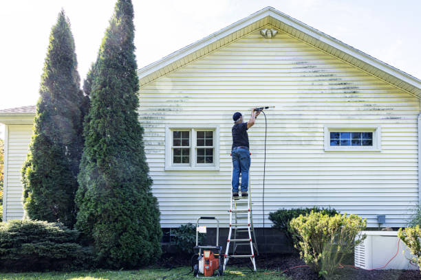 Best Solar Panel Cleaning  in Dimondale, MI